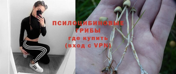 мяу мяу мука Михайловск