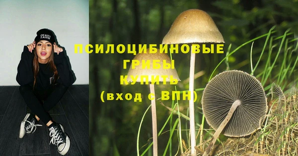 первитин Михайлов