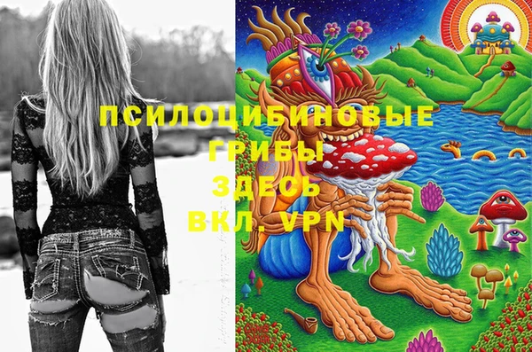 мяу мяу мука Михайловск