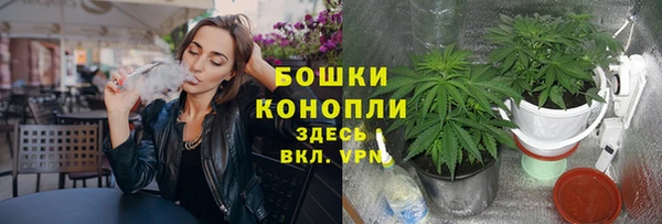 твердый Пестово