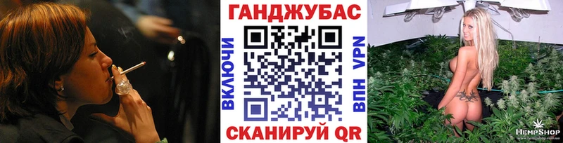 omg ссылка  цена наркотик  Шахунья  Конопля планчик 
